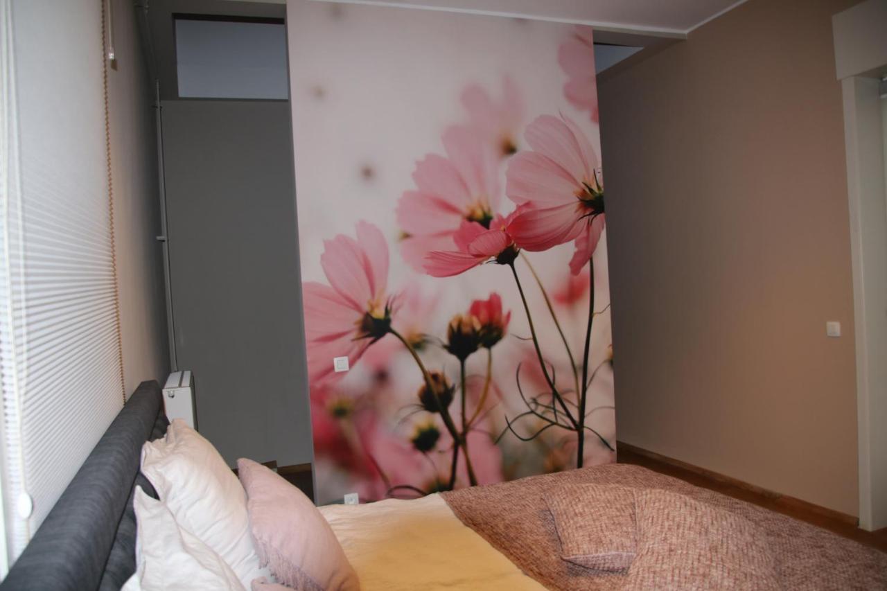 B&B Het Doctershoes Kinrooi Экстерьер фото
