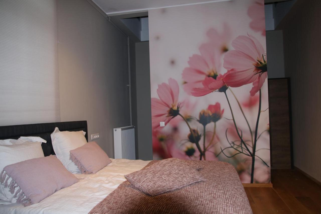 B&B Het Doctershoes Kinrooi Экстерьер фото
