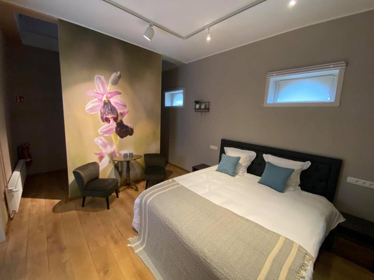 B&B Het Doctershoes Kinrooi Экстерьер фото