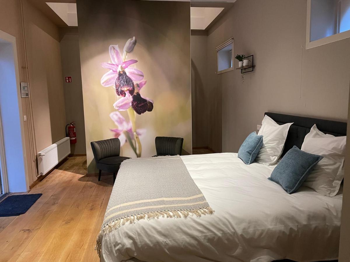 B&B Het Doctershoes Kinrooi Экстерьер фото